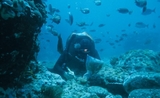 un plongeur sous-marin 