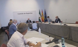 Réunion du Comité d’Experts Andalousie sur les questions sanitaires