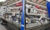 déchets illégaux en Roumanie