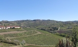 paysage vignobles des Langhe en Italie