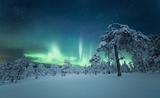 Un paysage finlandais éclairé par des aurores boréales 