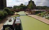 Regent's Canal recouvert de lentilles d'eau