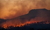 Un incendie en Australie causé par le réchauffement climatique 