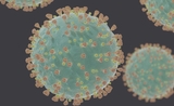 Coronavirus virus bactérie covid 19