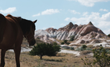 Cappadoce cheval ranch