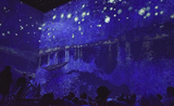 Expérience immersive Van Gogh: Nuit étoilée sur le Rhône