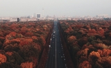 Tiergarten de Berlin en automne