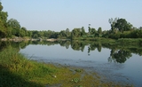 La Kaveri, un fleuve du sud de l'Inde
