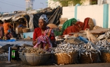 une vendeuse de poissons en Inde