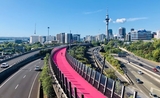 Auckland city-min