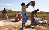 Agricultrices dans un champ À Madagascar