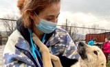 Marion étudiante en deuxième année vétérinaire à Cluj