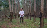 membre de l'éthnie Buongs dans une plantation d'évéas