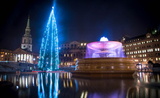 Le sapin de Noël géant de Trafalgar Square illuminé pour les fêtes