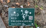 A Frederiksberg, des jardinières pour une politique de nature urbaine. 