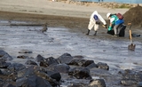 Urgence environnementale sur le rivage péruvien après l'éruption aux Tonga