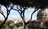 Deux pins parasol à Rome