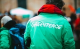 Militant Greenpeace 