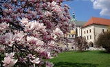 Cracovie printemps