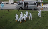 Covid-19 pandémie morts lancet bilan officiel élevé 