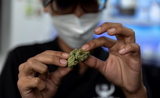 Cannabis-Thailande-Depenalisation