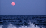 lune rose 
