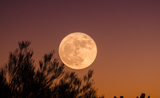 Super lune - Ganapathy Kumar - unsplash.com