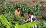 Envol Vert à Tingo María : sensibiliser pour mieux planter