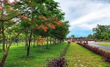 angkor wat (siem reap) avec de flamboyants arbres, 15ème ville la plus touristique du monde
