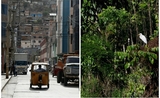 Lima - Iquitos : une traversée par voie terrestre et fluviale