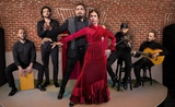 la troupe flamenco du tablao