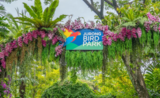 jurong birds park à Singapour va certainement déménager 