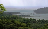 La réserve de biosphère de l'île de Great Nicobar en Inde