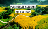 Où trouver les plus belles rizières au Vietnam