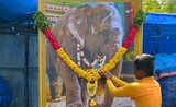 Un mémorial en l'honneur de l'éléphante Lakshmi à Pondichéry