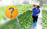 Meilleurs produits issus de l'agriculture au Vietnam