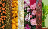 Fleurs CNY 2 745 x 465 100Mo