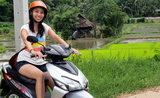 Louer une moto en Thailande