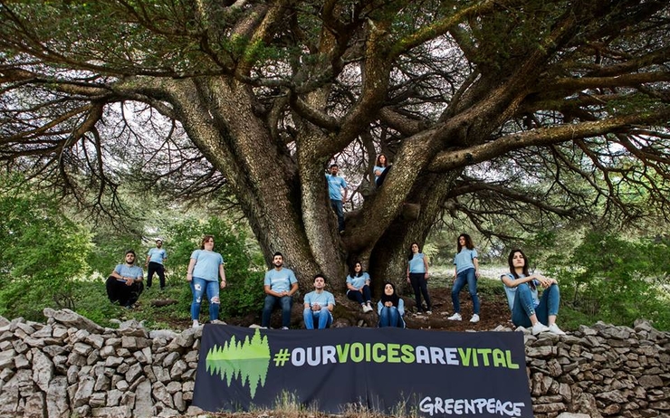 Greenpeace غرينبيس