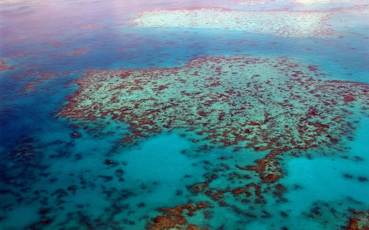 Australie grande barrière de corail