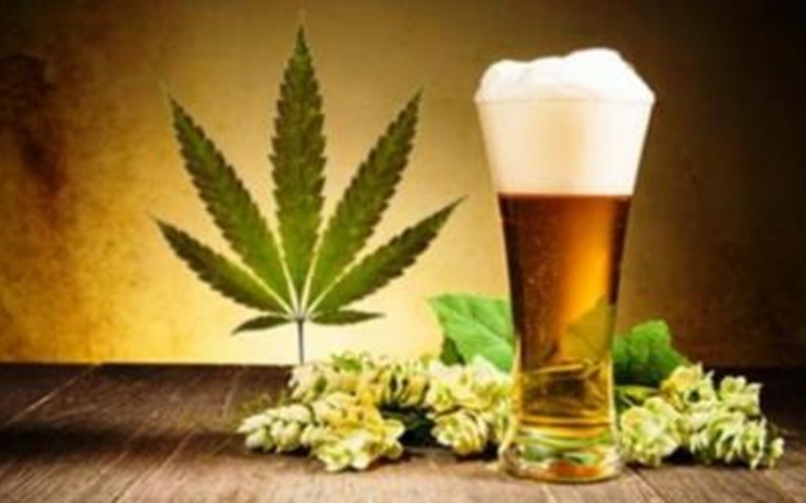 Bière, Cannabis, Canada