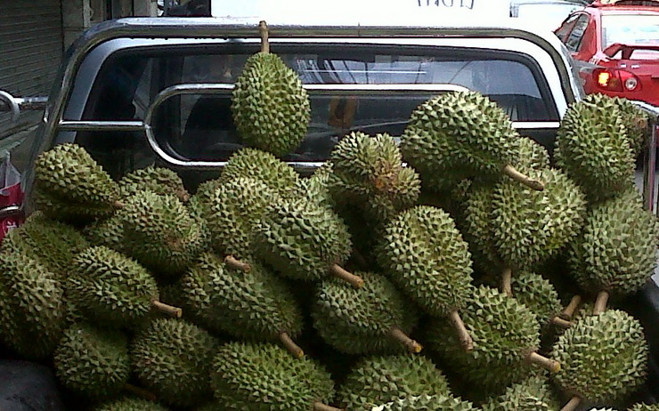 Durian dans l'espace