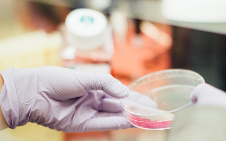 gel hydroalcoolique bactérie résistante hôpital Melbourne Australie étude scientifique Etats-Unis