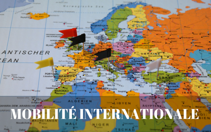 Anne Genetet rapport mobilité internationale expatriation