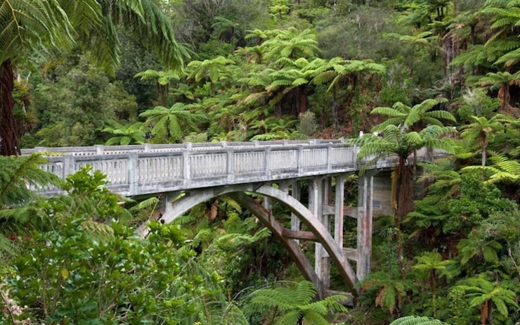 bridge-to-nowhere whanganui river