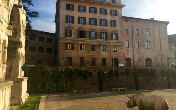 Palazzo Rhinocéros Rome Centre-Ville Art Culture