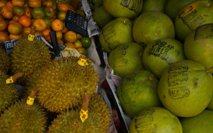 La Birmanie veut diversifier ses exportations de fruits 