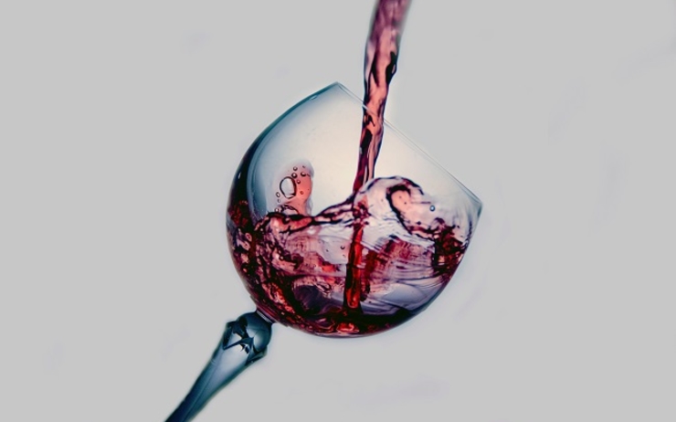vin vinofilia