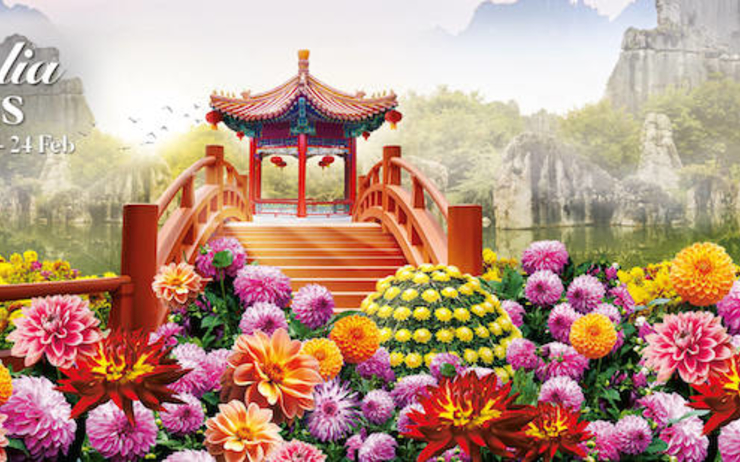 A voir à faire, Dahlia Dreams Floral Display, Singapour