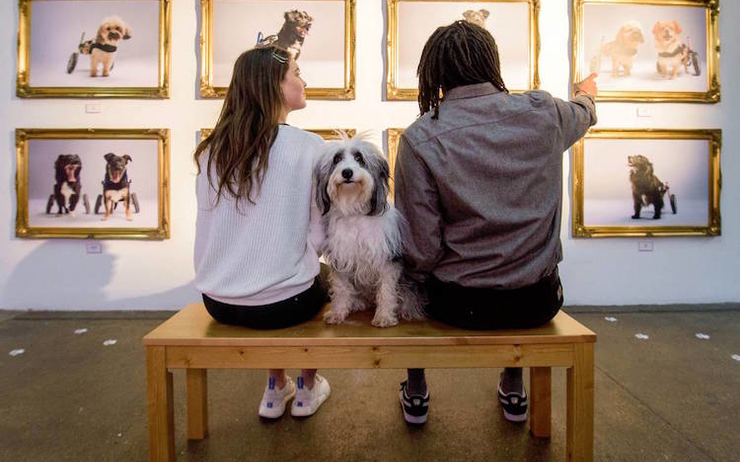 Shoreditch expo art pour les chiens galerie insolite Londres